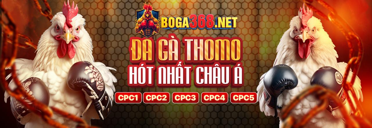 Đá gà cựa sắt trực tuyến