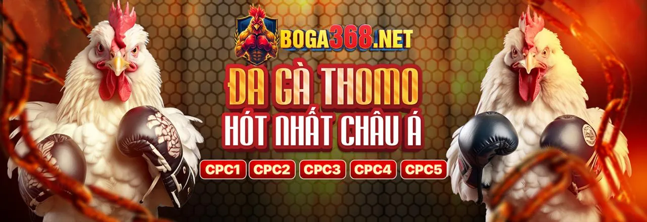 Đá gà cựa sắt trực tuyến