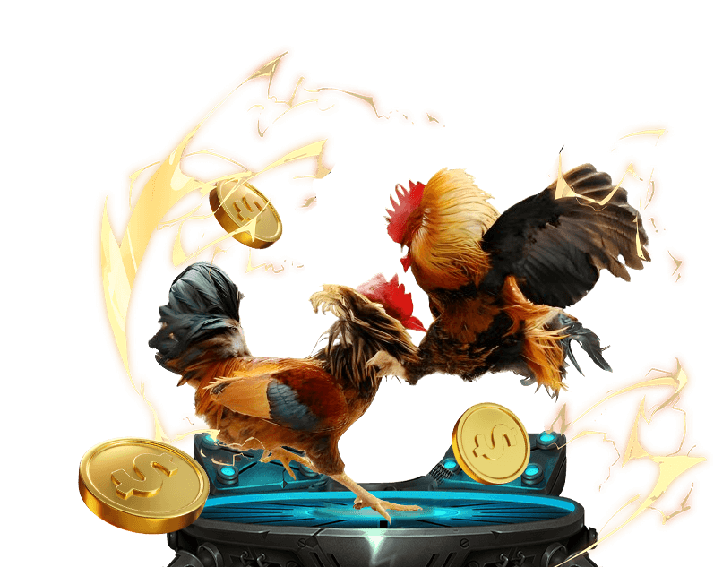 Đá Gà Trực Tiếp Tobet