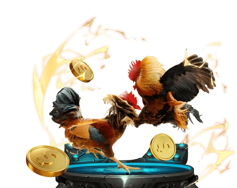 Đá Gà Trực Tiếp Tobet